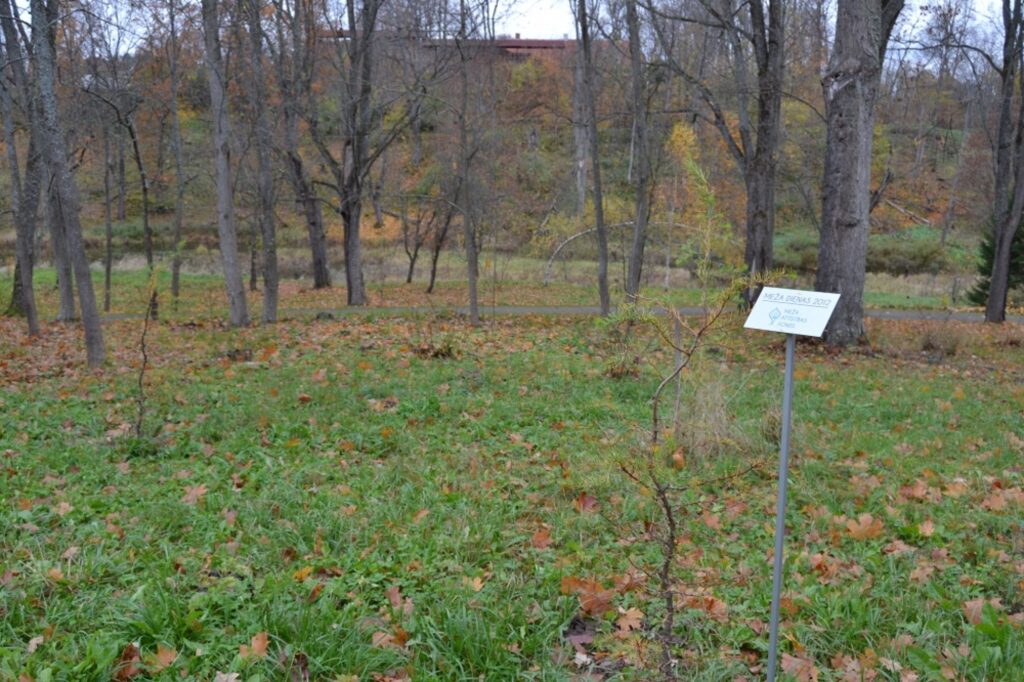 Autors: Smiltenes novada pašvaldība