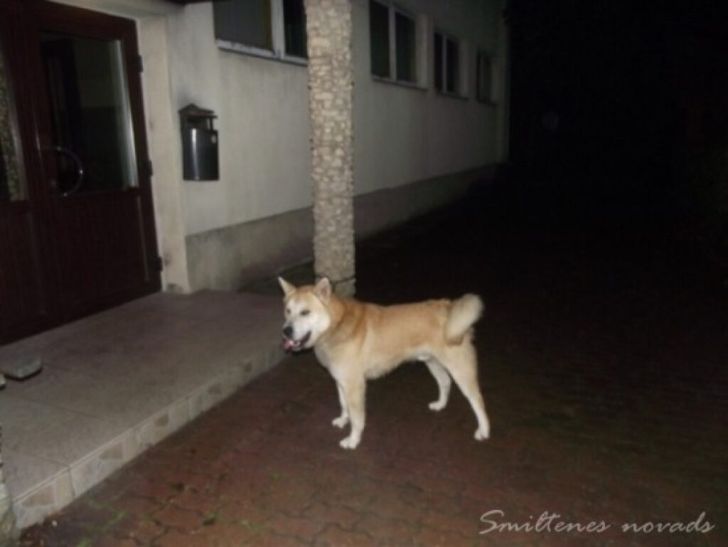 Autors: Smiltenes PP