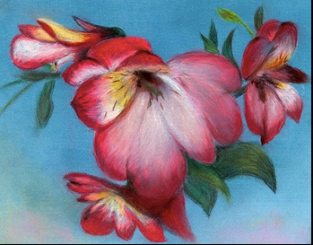 Autors: publicitātes foto