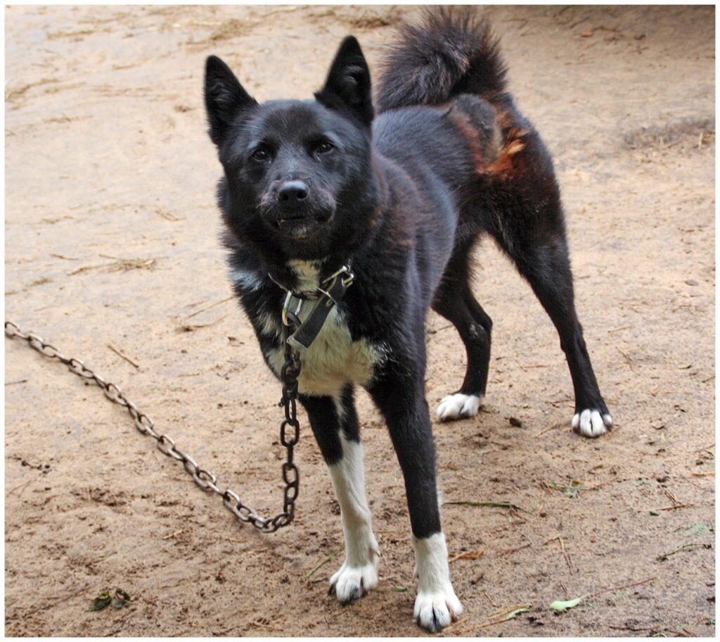 Autors: Zanda Bērziņa