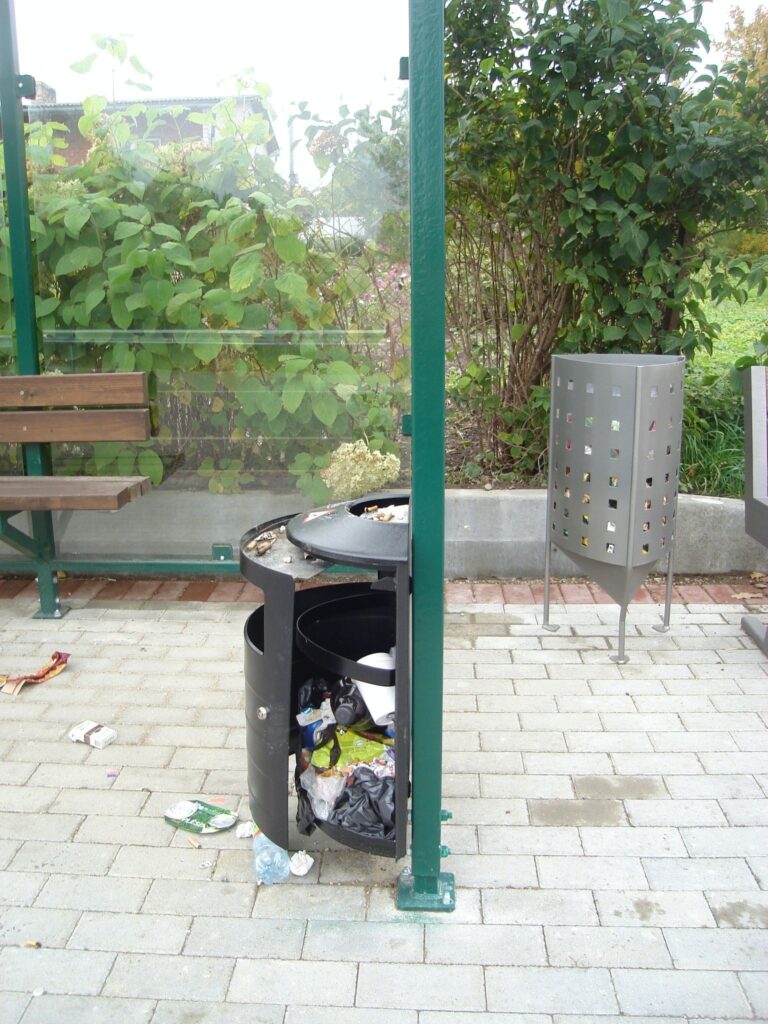 Autors: Sarmīte Ozola