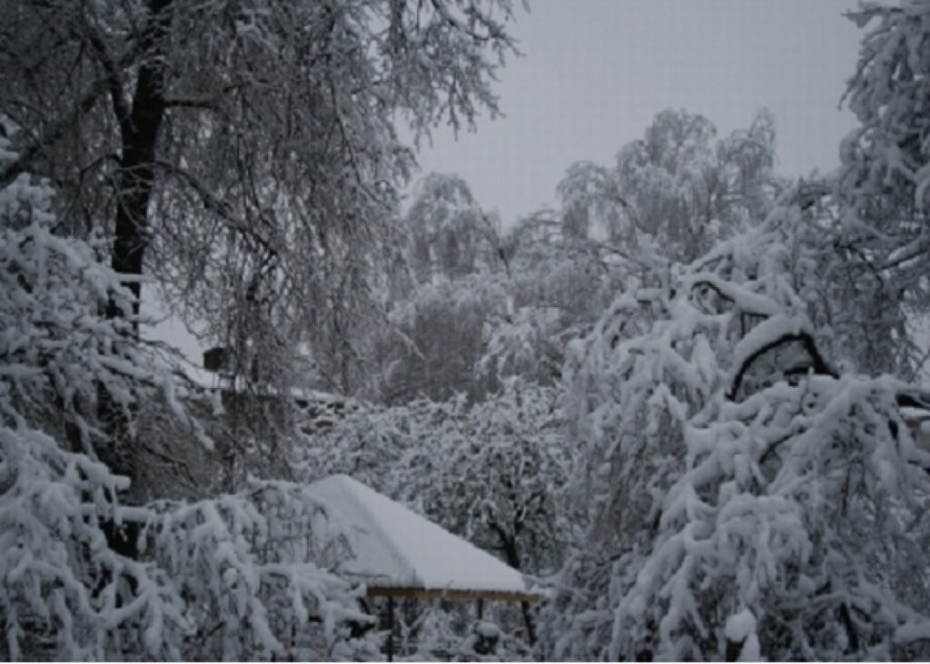 Autors: www3.meteo.lv