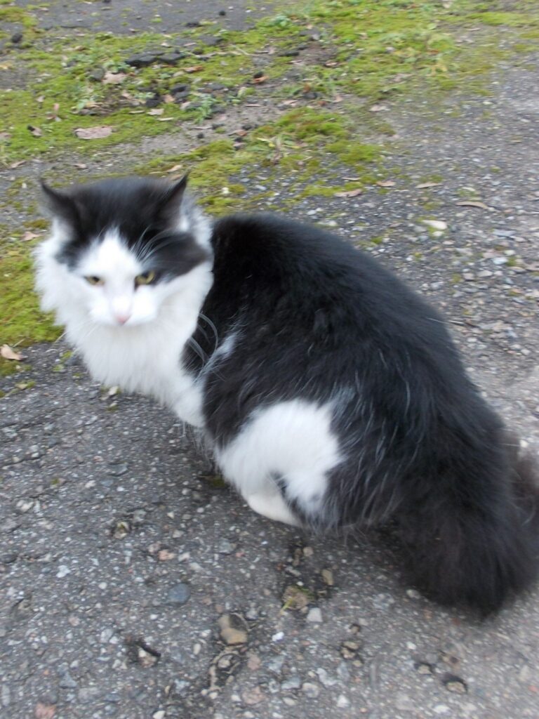 Autors: Inga Karpova