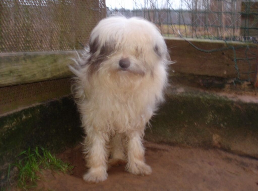 Augusta beigās
Autors: Valkas novada pašvaldība