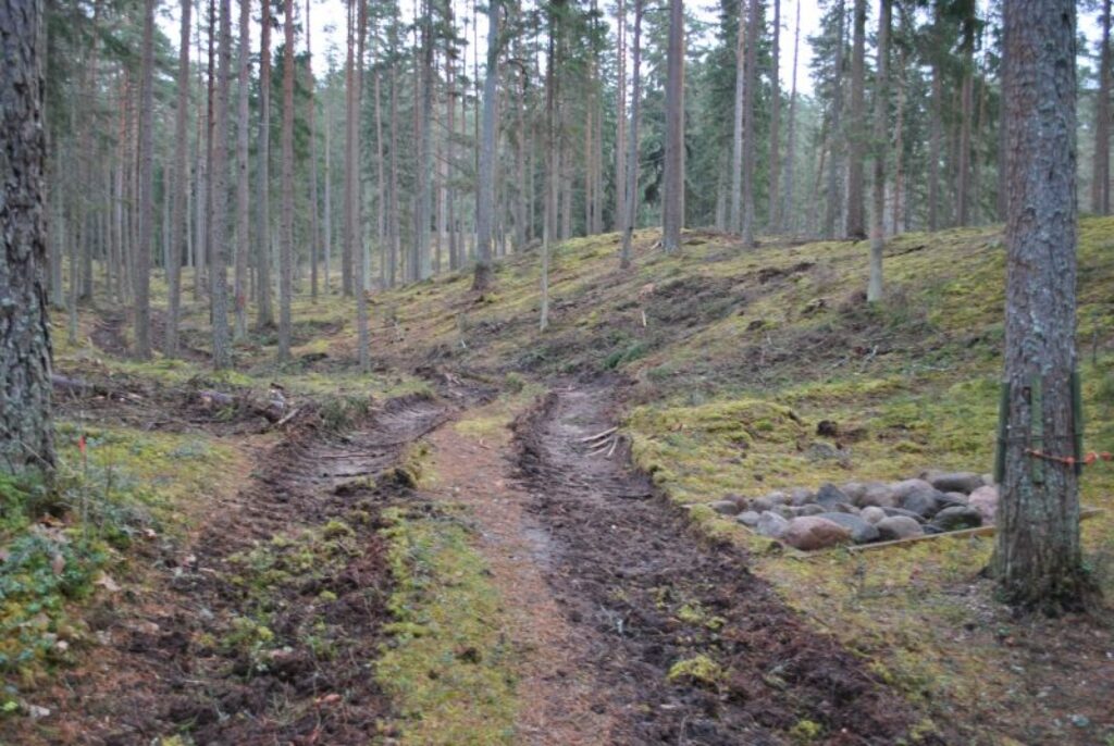 Autors: Sandra Pētersone