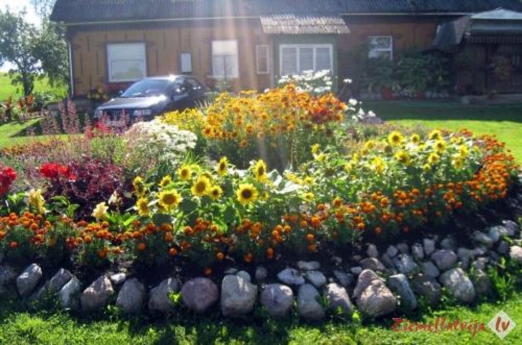 Autors: Smiltenes novada pašvaldība