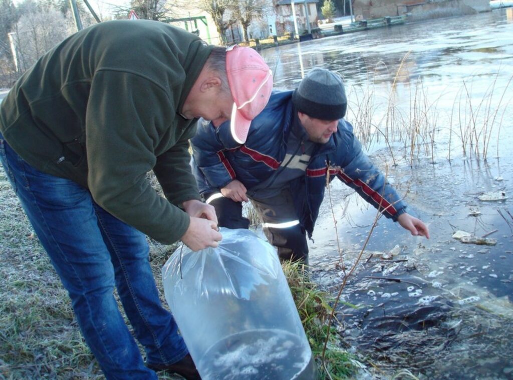 Autors: publicitātes foto