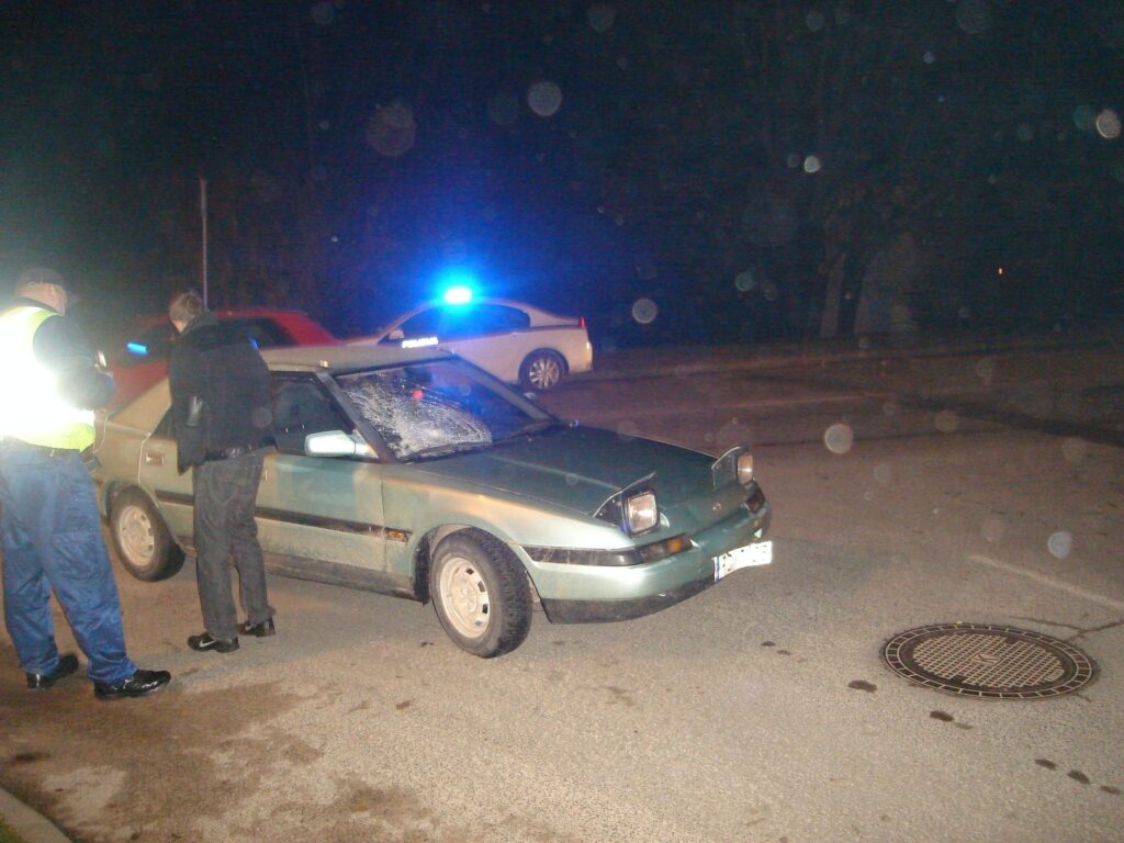 Autors: Sarmīte Ozola