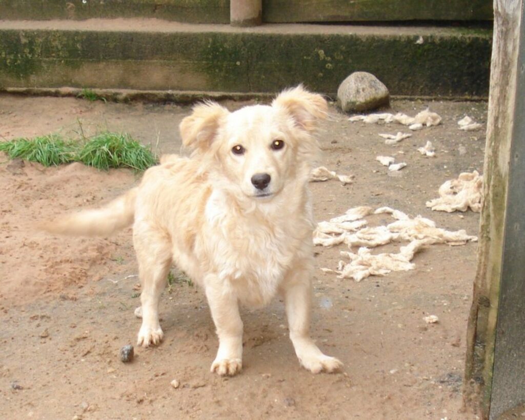 Autors: Valkas novada pašvaldība