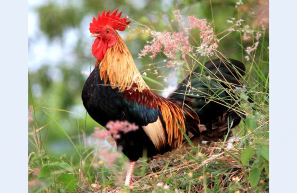 Autors: panoramio.com