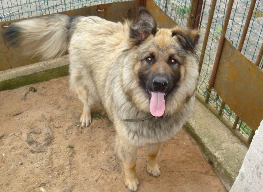 Autors: Valkas novada pašvaldība