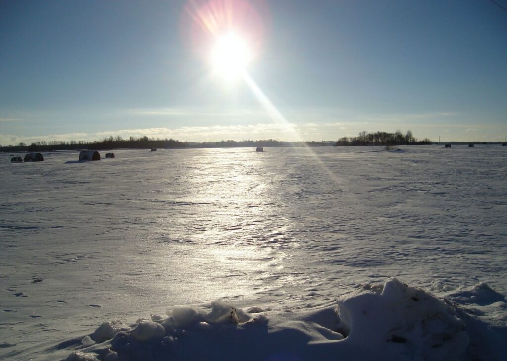 Autors: Sarmīte Ozola