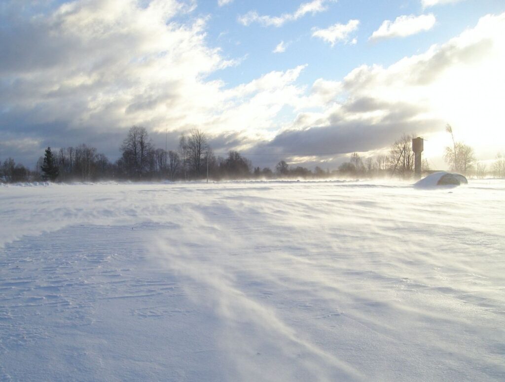 Autors: Sarmīte Ozola