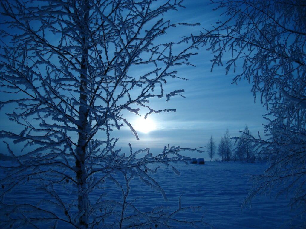 Autors: Sarmīte Ozola