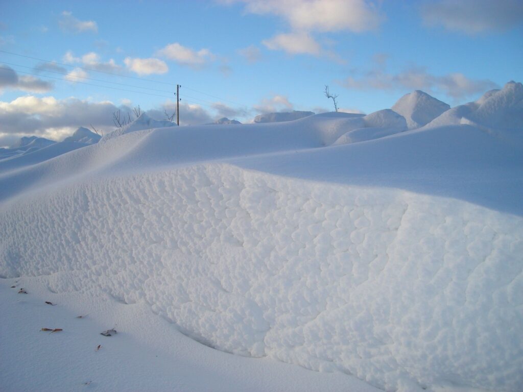 Autors: Sarmīte Ozola