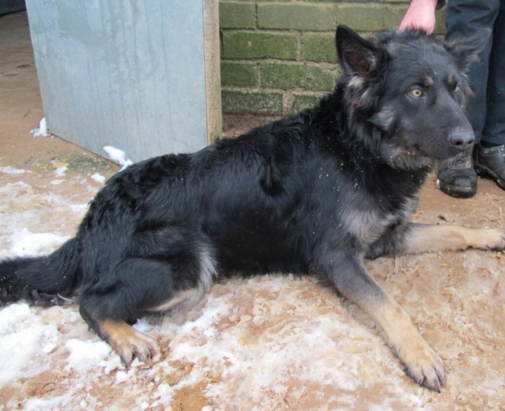 Autors: Valkas novada pašvaldība