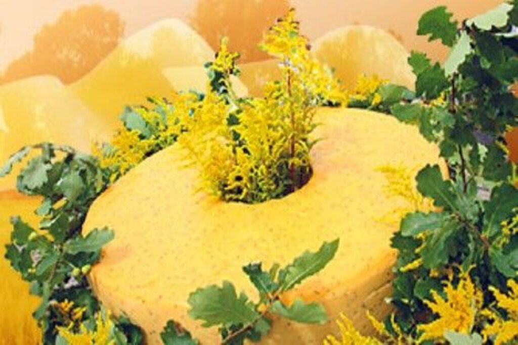 Autors: baltictravelnews.com