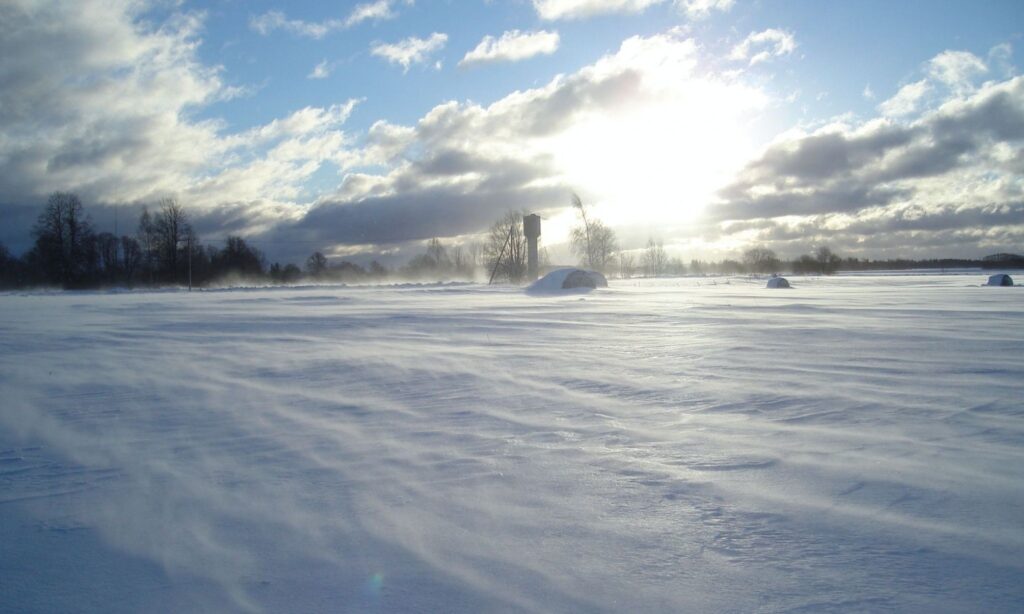 Autors: Sarmīte Ozola