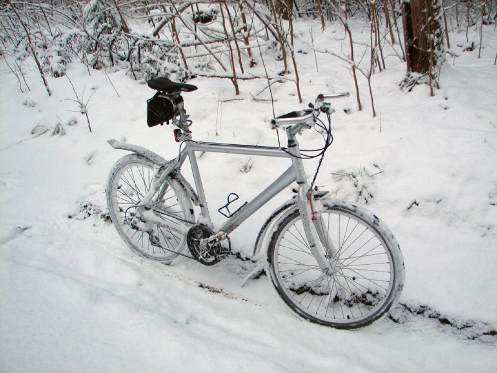 Autors: publicitātes foto