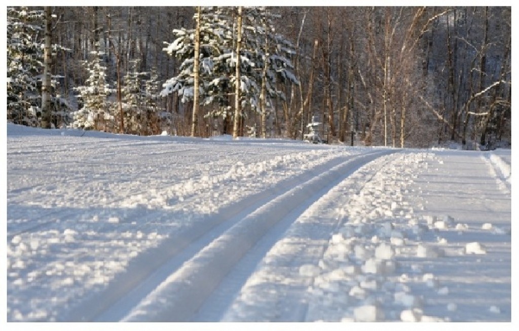 Autors: publicitātes