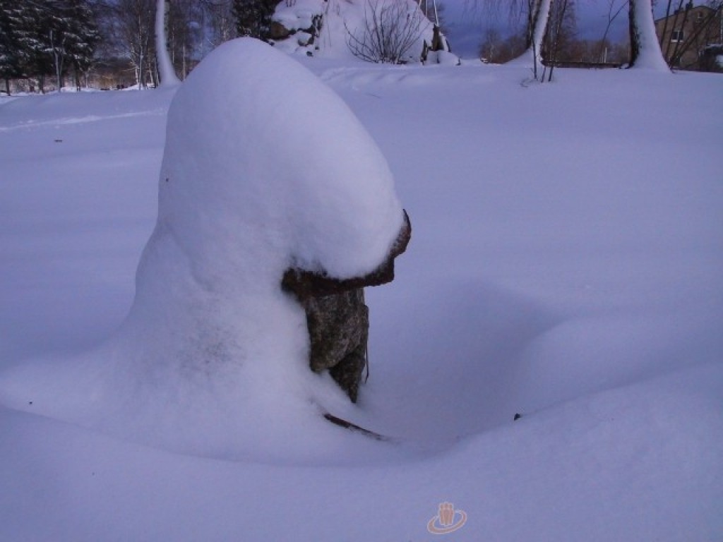 Autors: Sarmīte Ozola