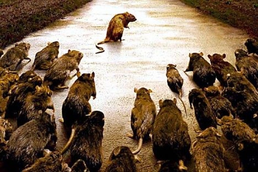 Autors: Brieffreunde.de