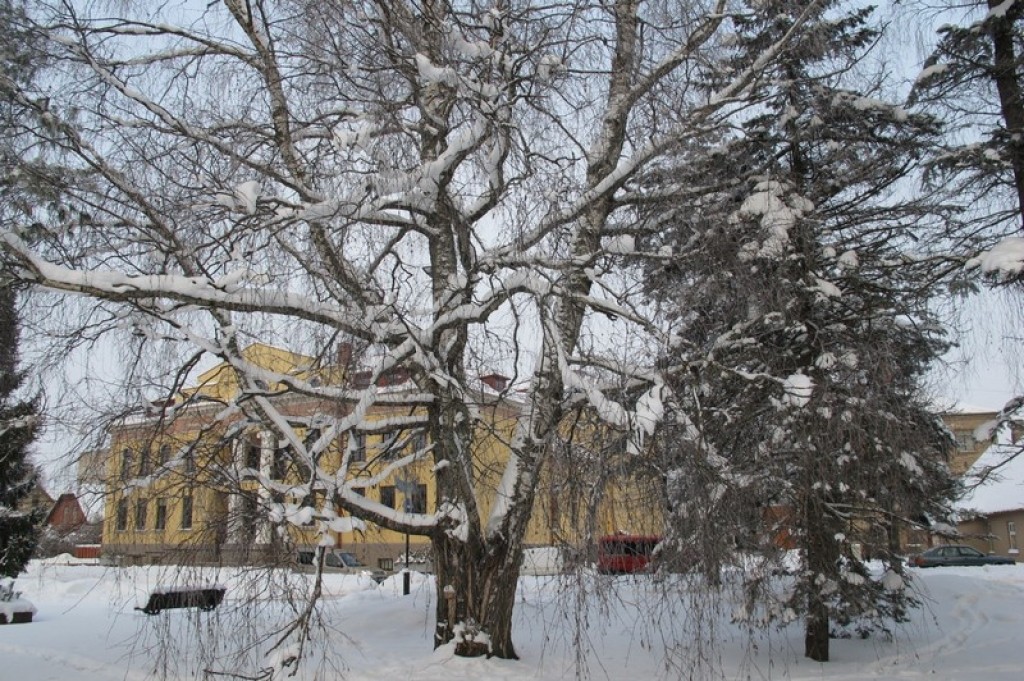 Autors: Valkas novada dome