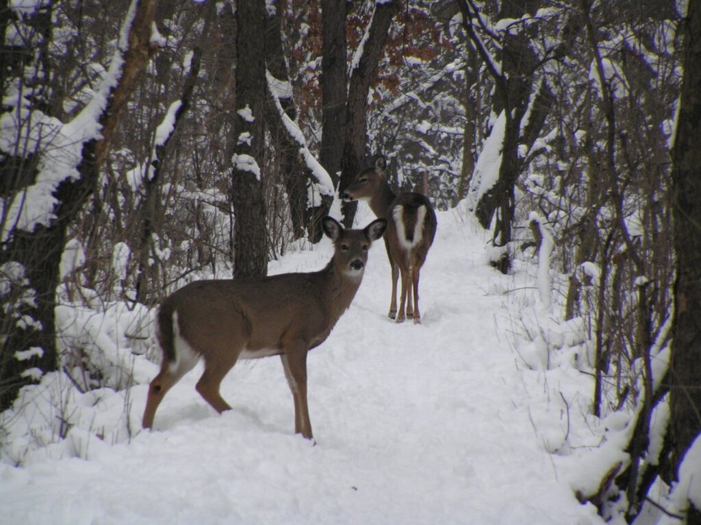 Autors: city-data.com