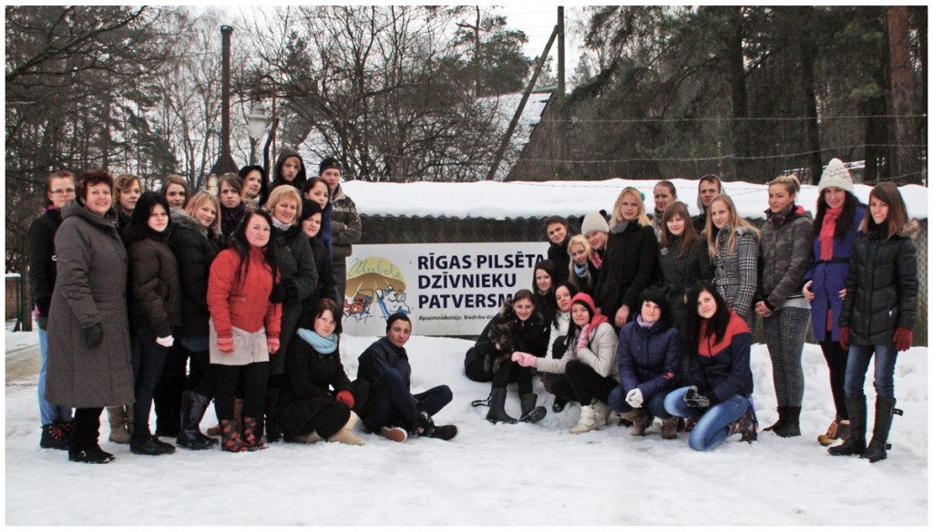 Autors: publicitātes