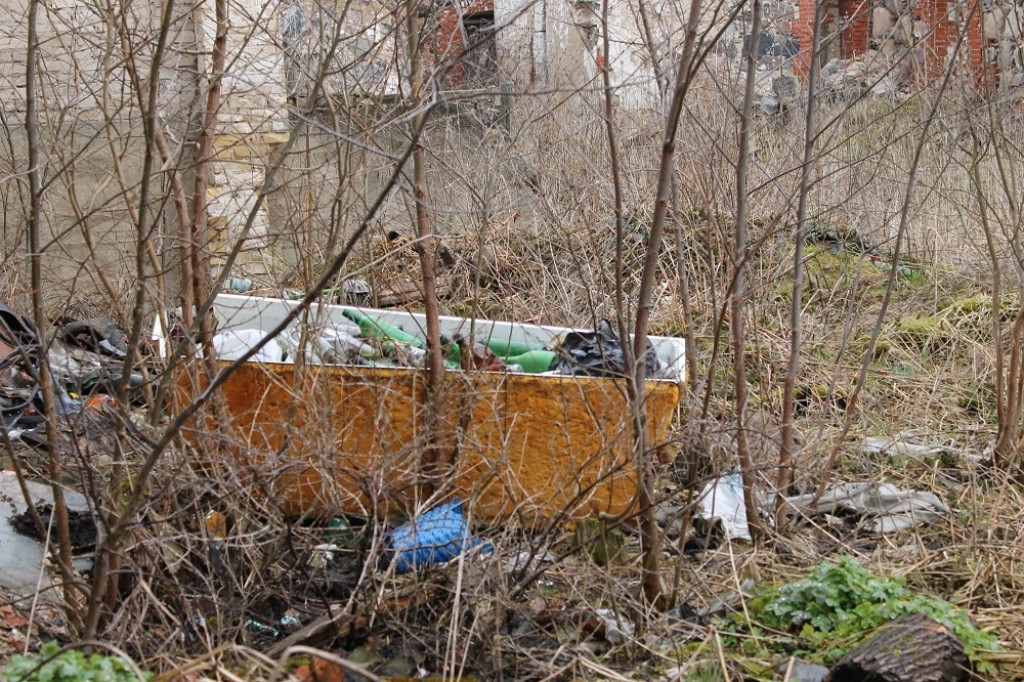 Autors: Marita Mūze