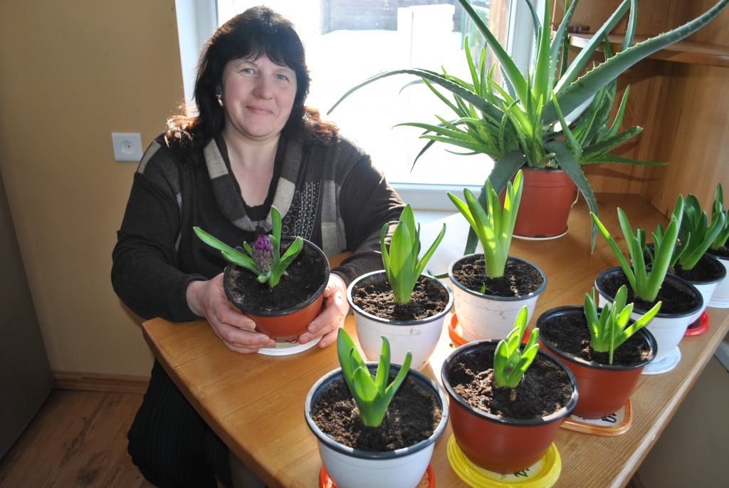 Autors: SANDRA PĒTERSONE