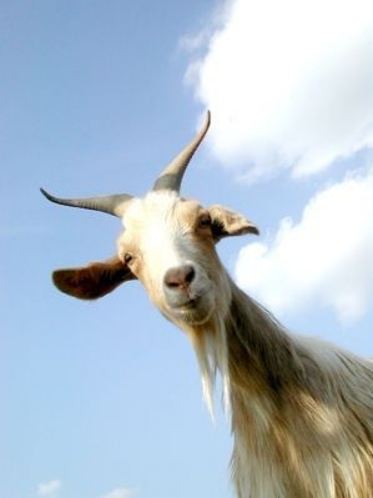 Autors: enguresnovads.lv 