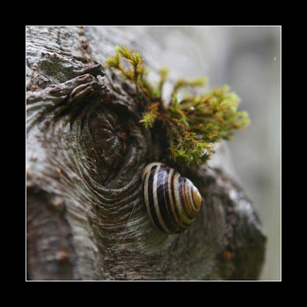 Autors: DAINIS JANSONS