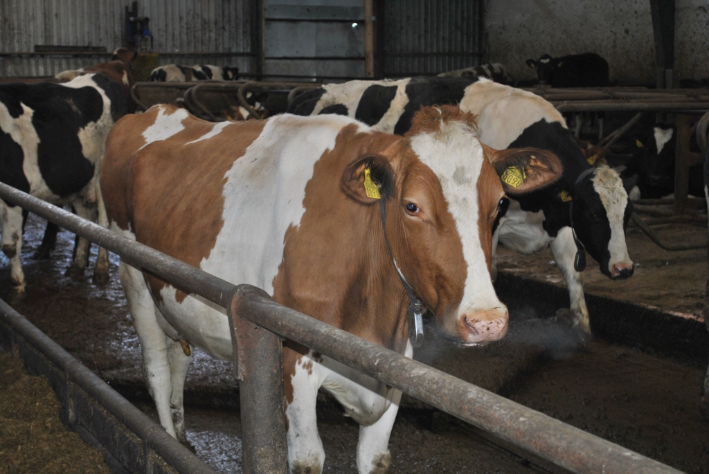 Autors: SANDRA PĒTERSONE