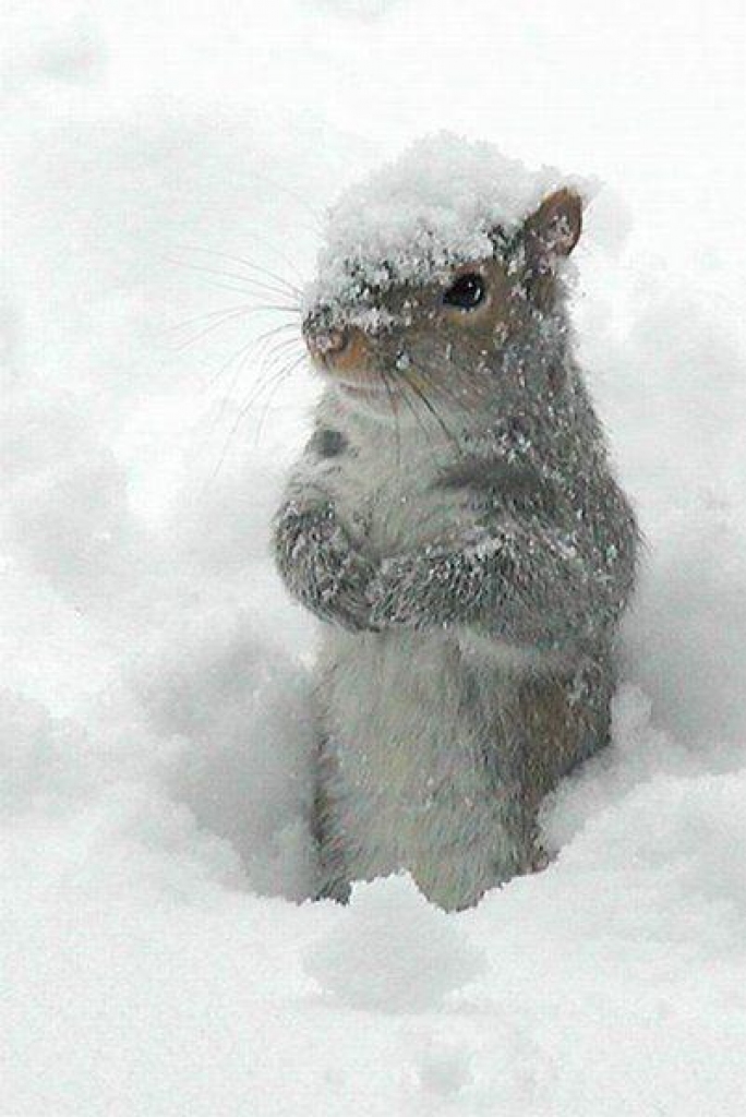 Autors: spoki.tvnet.lv 