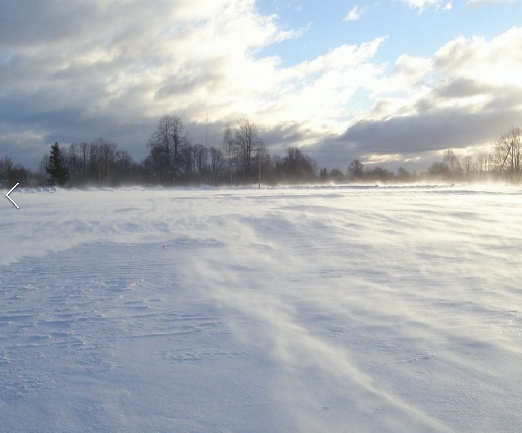 Autors: SARMĪTE OZOLA