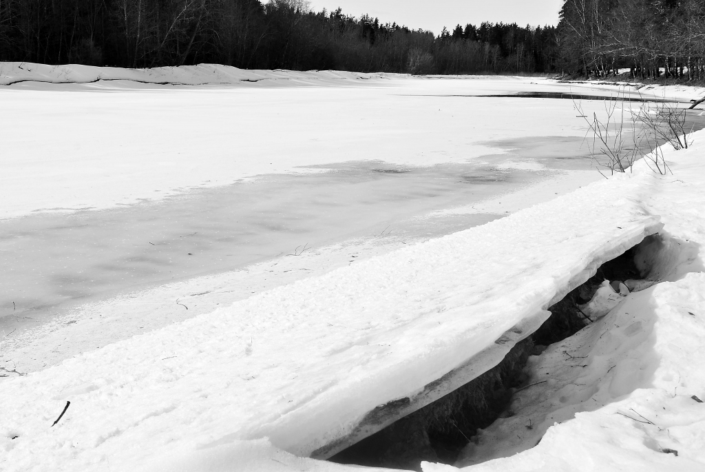 Vēl aizvadītajā nedēļā Gaujā pie Strenčiem  ledus biezums sasniedza 40 līdz 60 centimetrus. Ir prognozes, ka šopavasar upe varētu iziet no krastiem, appludinot lielas teritorijas.                                     

Autors:  SANDRA PĒTERSONE