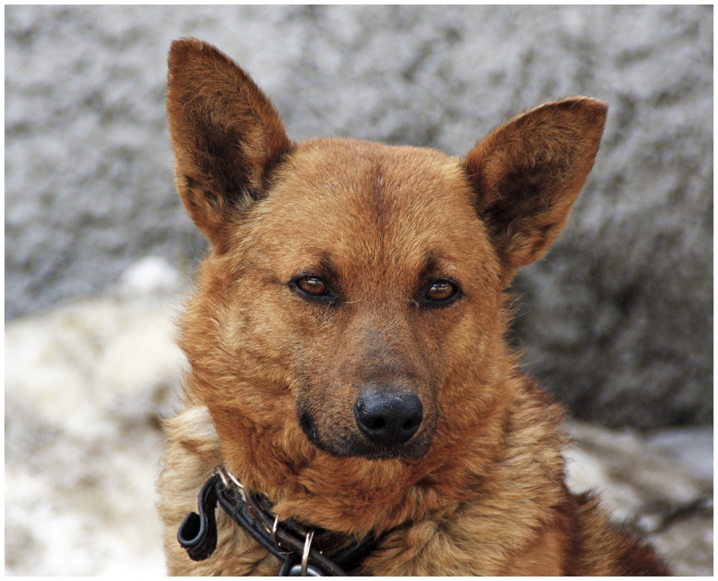 Autors: Zanda Radziņa