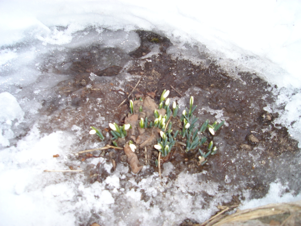 Autors: SARMĪTE OZOLA