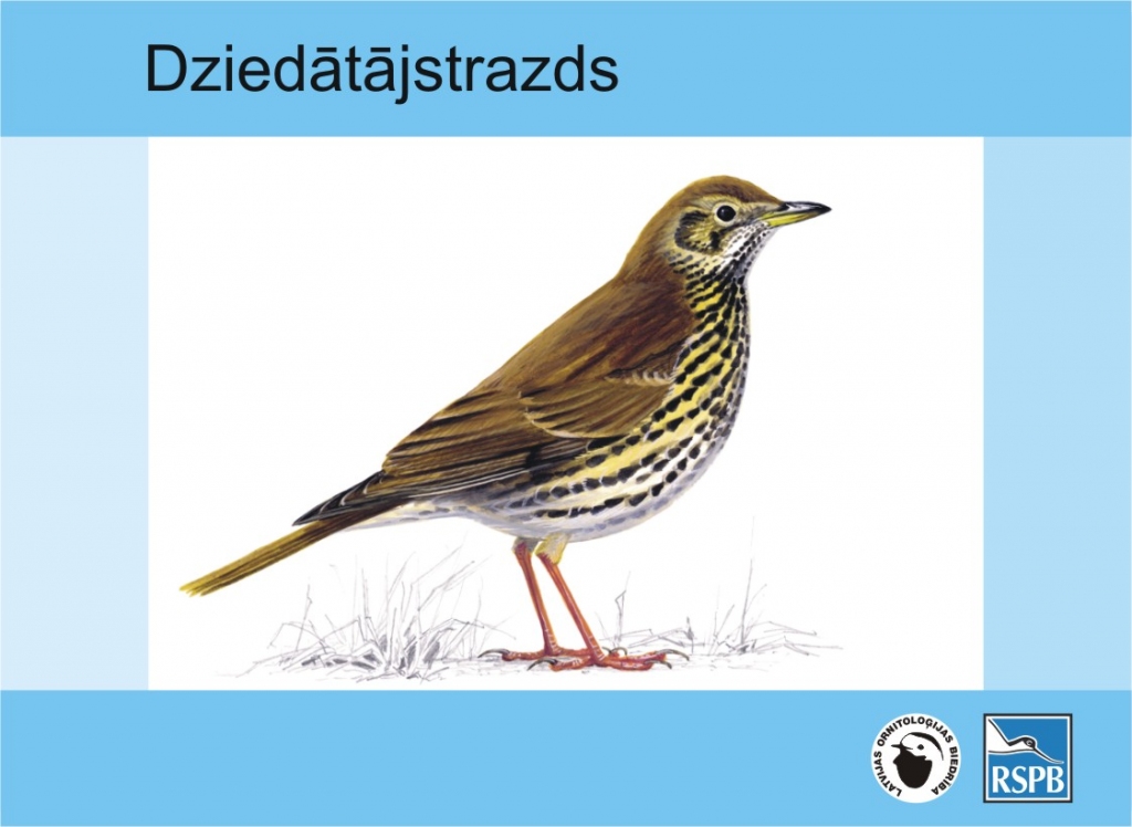 Aluksniesiem.lv raksta attēla aizvietotājs