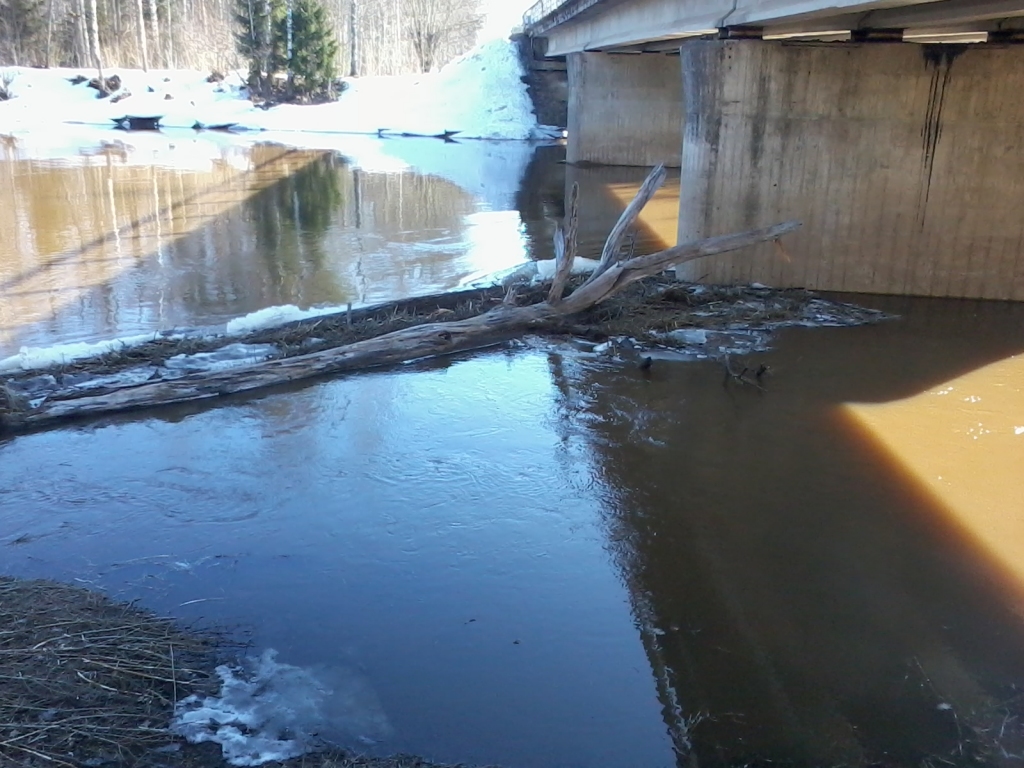 Autors: INGA KARPOVA