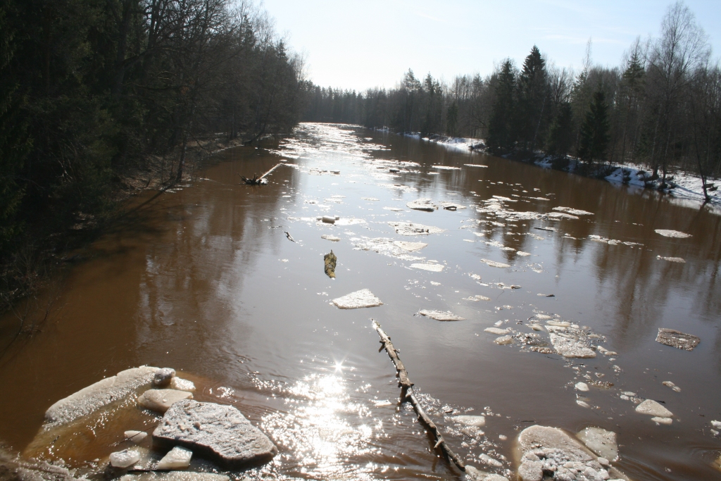 Autors: AIVARS ZILBERS