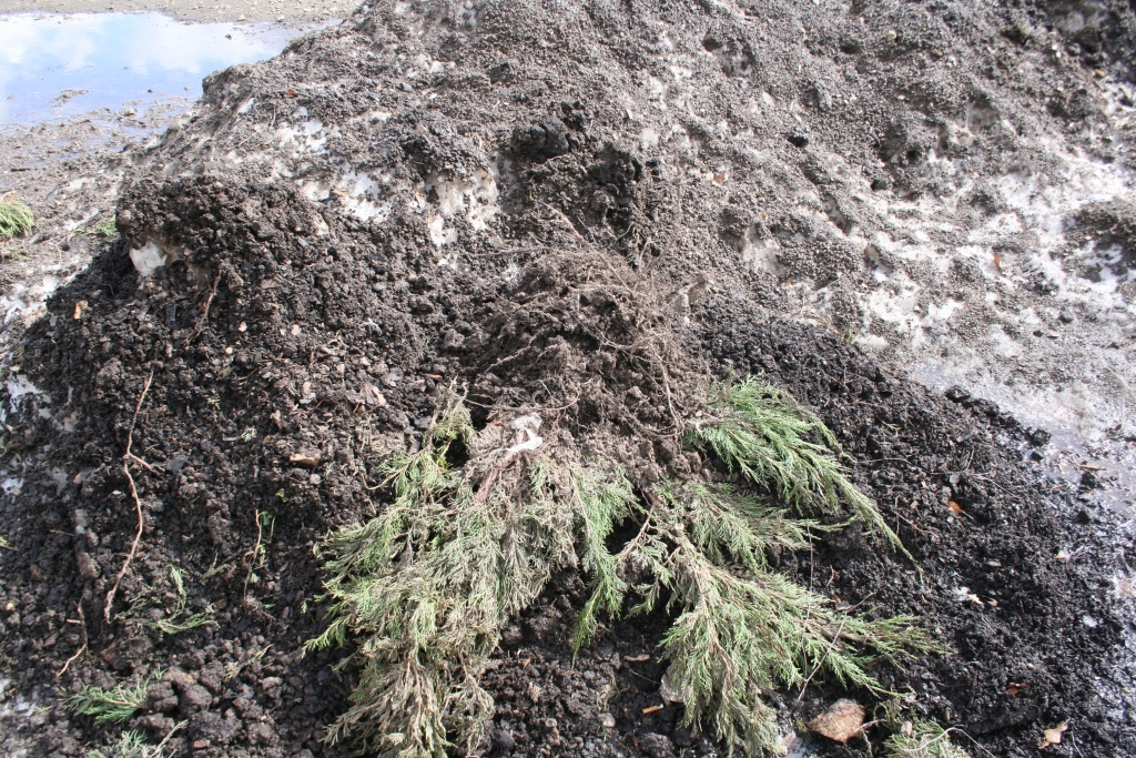 Autors: INGA KARPOVA