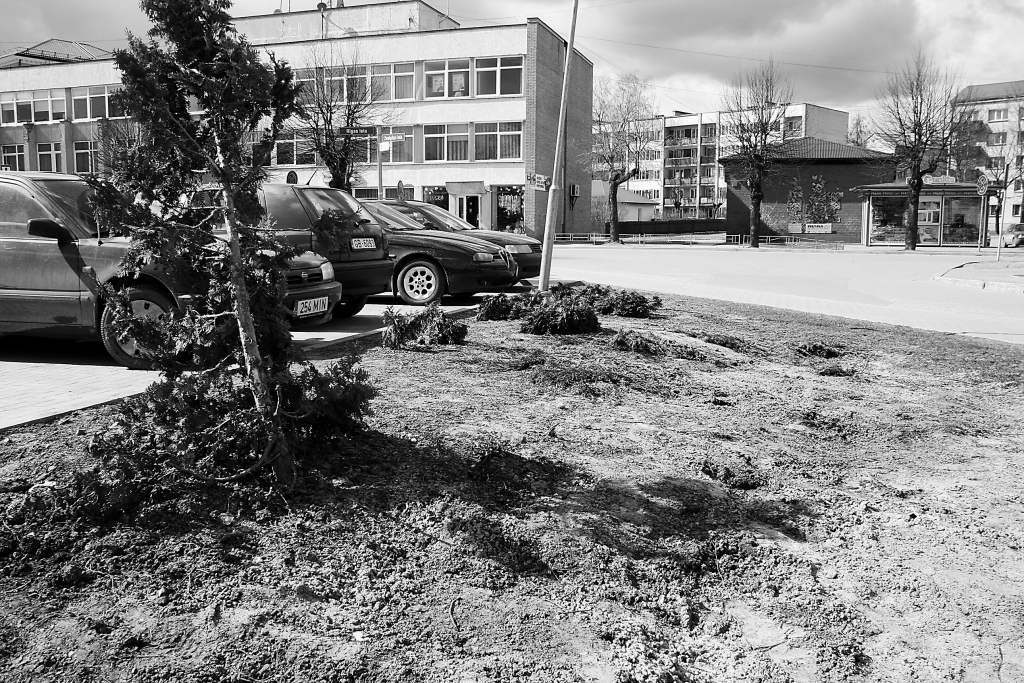 Valkas pilsētas centrā zāliens ar kadiķu stādījumiem netālu no stāvlaukuma pie veikala “top!” ir izpostīts.                                               
                                                                                                                                                                                                                                                              

Autors:  INGA KARPOVA 