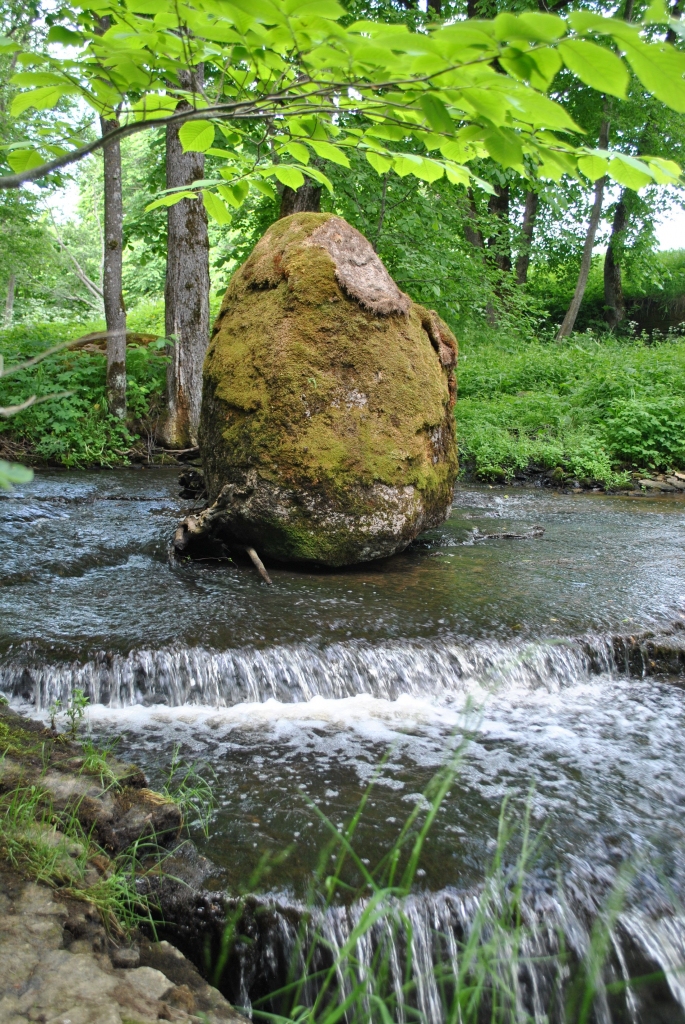 Dabas mīļotājus fascinē gan no liela augstuma krītošie ūdenskritumi Somu līča stāvkrastā, gan mazākie to “brāļi” tuvējās upītēs. 