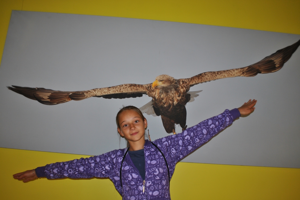 Autors: SANDRA PĒTRESONE