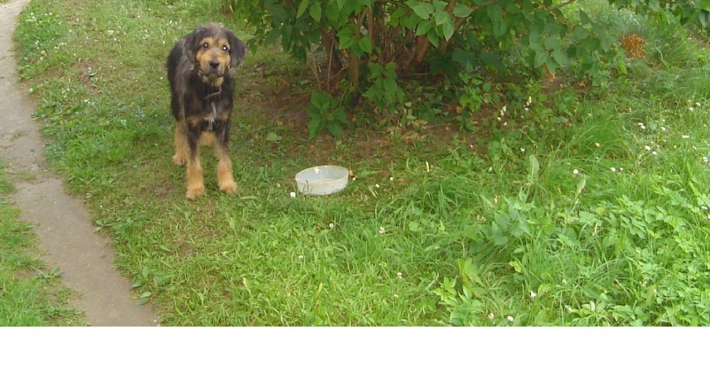 Autors: ziemellatvija.lv