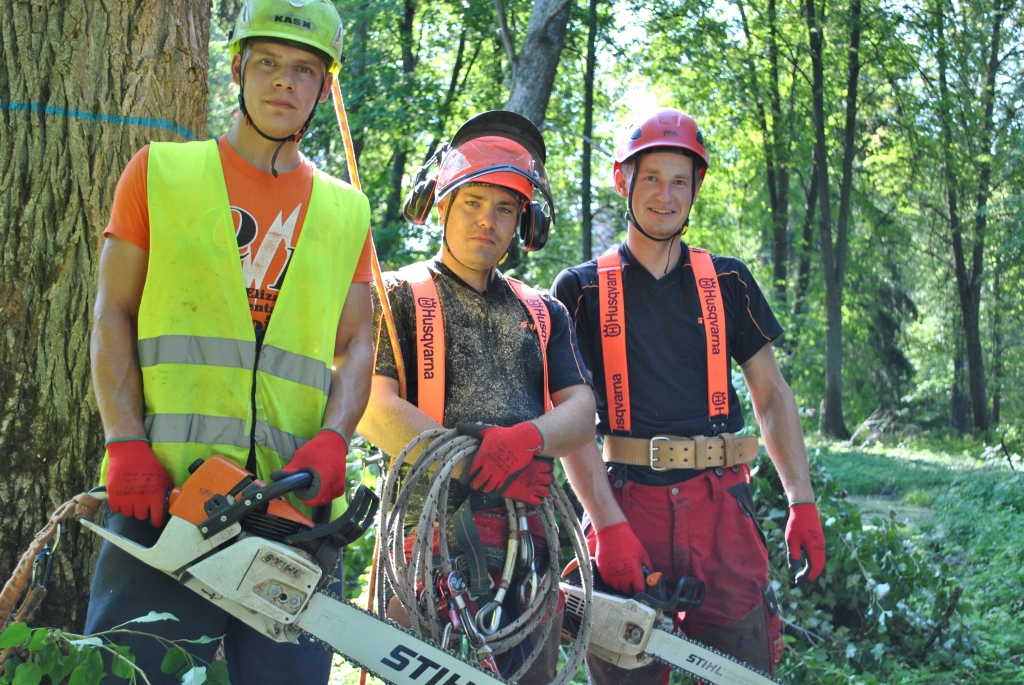 Aluksniesiem.lv raksta attēla aizvietotājs