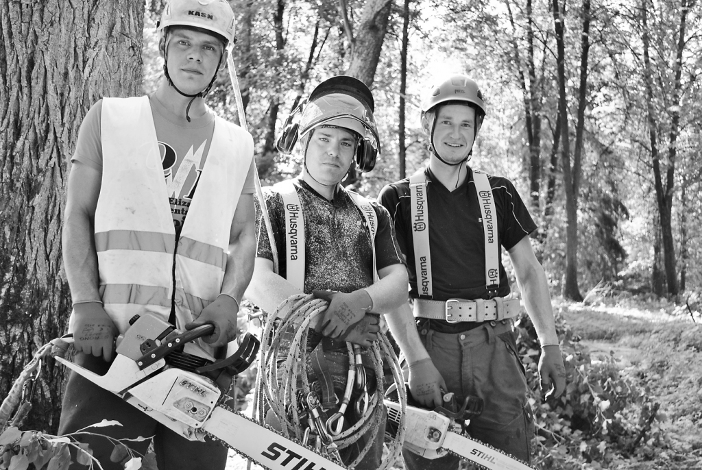 Smiltenes parkos bojātos kokus šomēnes izzāģē Palsmanes pagasta uzņēmums “Vidzemes koki”. Tā vadītājs, kokkopis - arborists Ēriks Indriksons (vidū) kā perspektīvus uzteic jaunos darbiniekus, palsmaniešus Kārli Dūmiņu  (no labās) un Nauri Bišeru.                                      
Autors: SANDRA PĒTERSONE