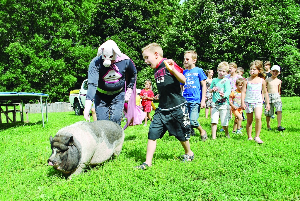 Kad pie nometnes “Meža noslēpums” dalībniekiem lauku mājās “Kalbakas” ierodas slavenais Cūkmens, prieks un sajūsma ir divtik liela. Izrādās – tur mīt viņa draugs pundurcūka Hosē Ignatiusa Pikskvīla. Satikšanās prieks visiem ir liels.                                                                                                    
Autors: SANTA SINKA